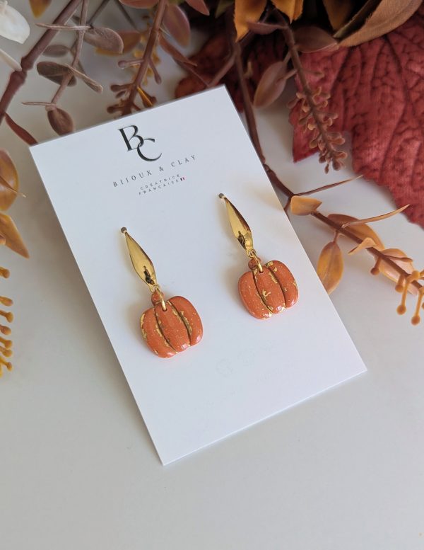 Pumpkin shine – Image 2